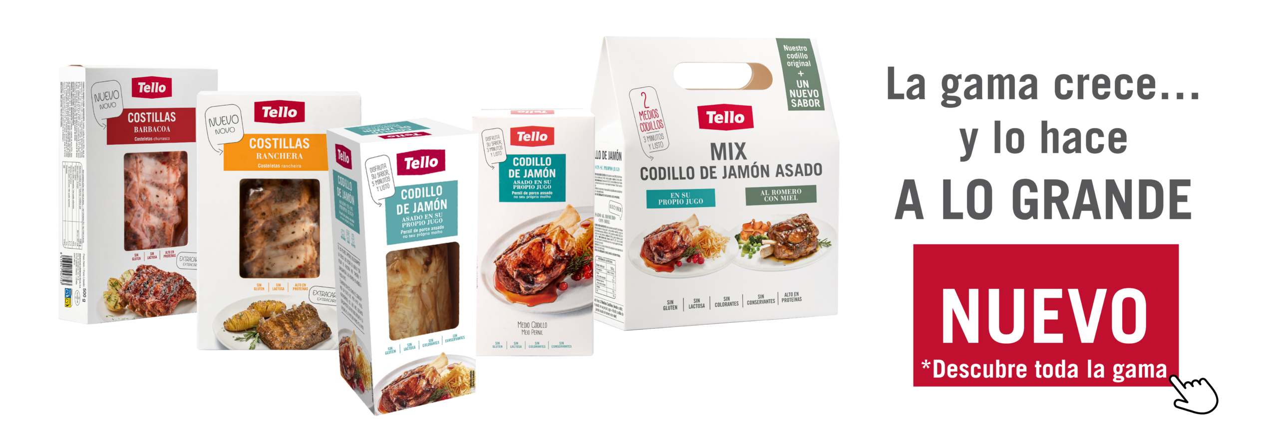 DISEÑO_BANNER_WEB_TODOS